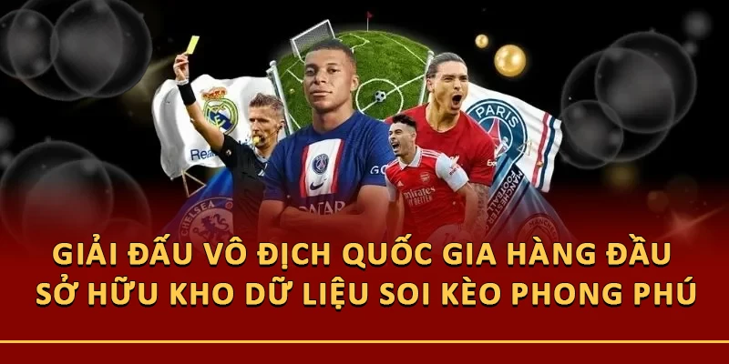 Các giải đấu vô địch quốc gia hàng đầu sở hữu kho dữ liệu soi kèo phong phú