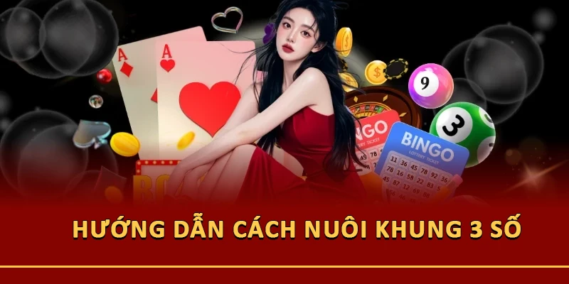 Hướng dẫn cách nuôi khung 3 số