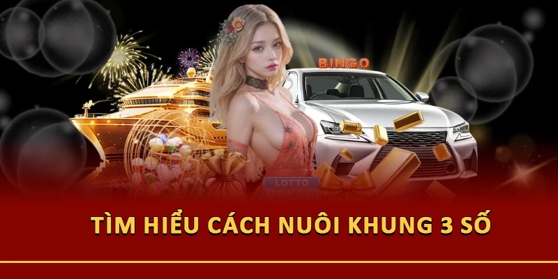 Tìm hiểu cách nuôi khung 3 số